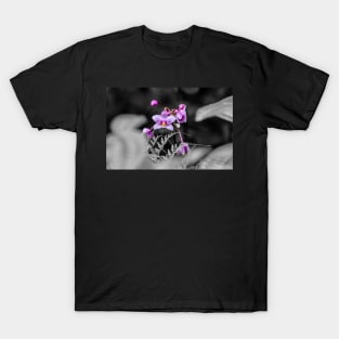 Wild Purple Orchid T-Shirt